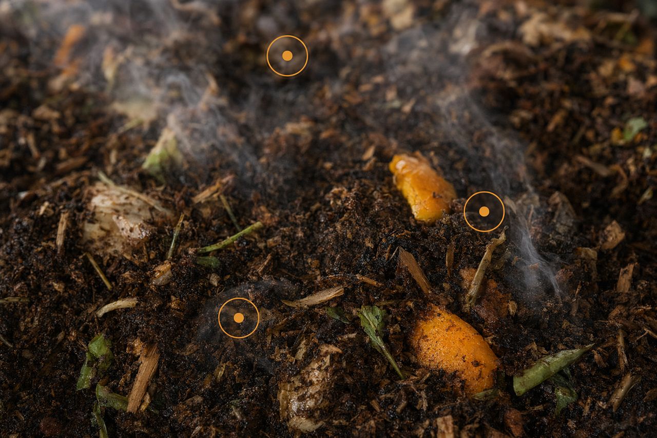 Compost Turnaround Time Reduction | LoamForge Enzyme Support