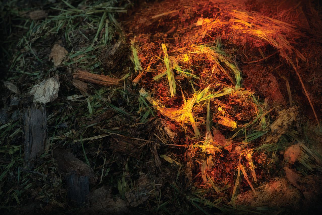 Green Waste Composting Enzyme for Yard Trimmings | LoamForge