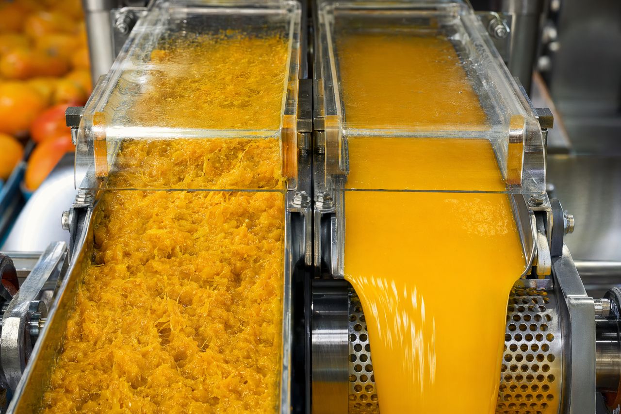 Mango Pulp Liquefaction Enzyme | Enzymeforjuice