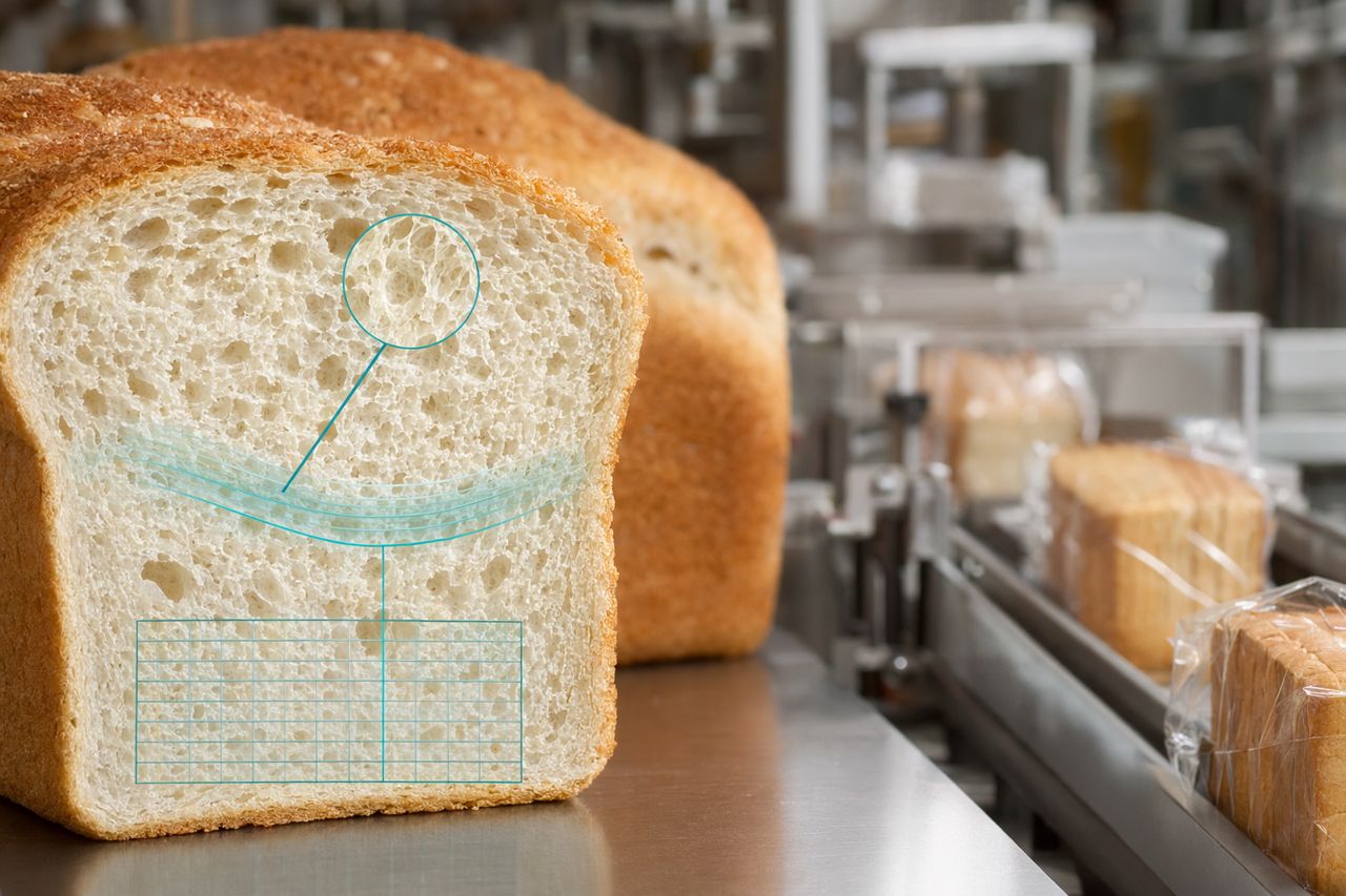 Industrial Bakery Enzyme Supplier for Bread Factories | CrumbForge