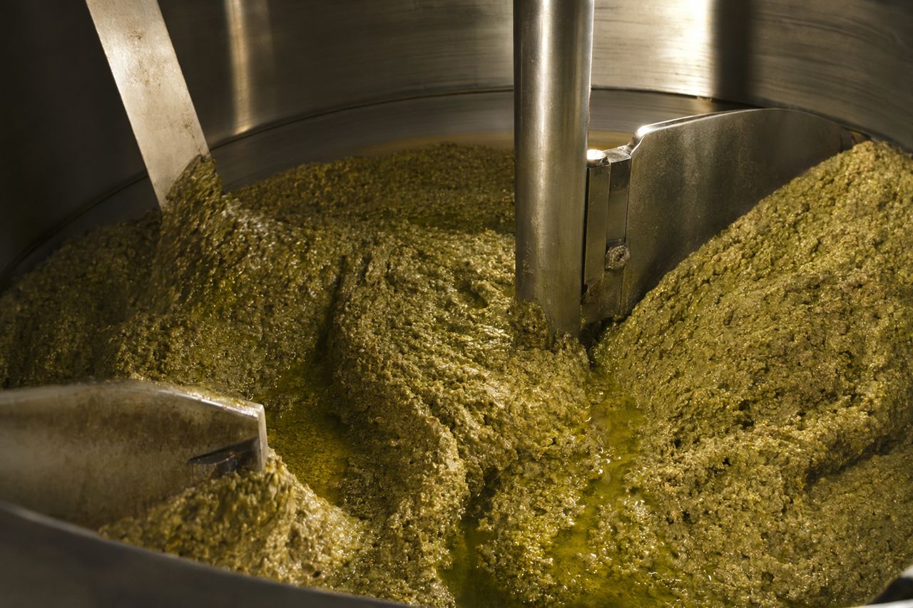 Bulk Enzyme for Olive Mill Yield | Olivanta