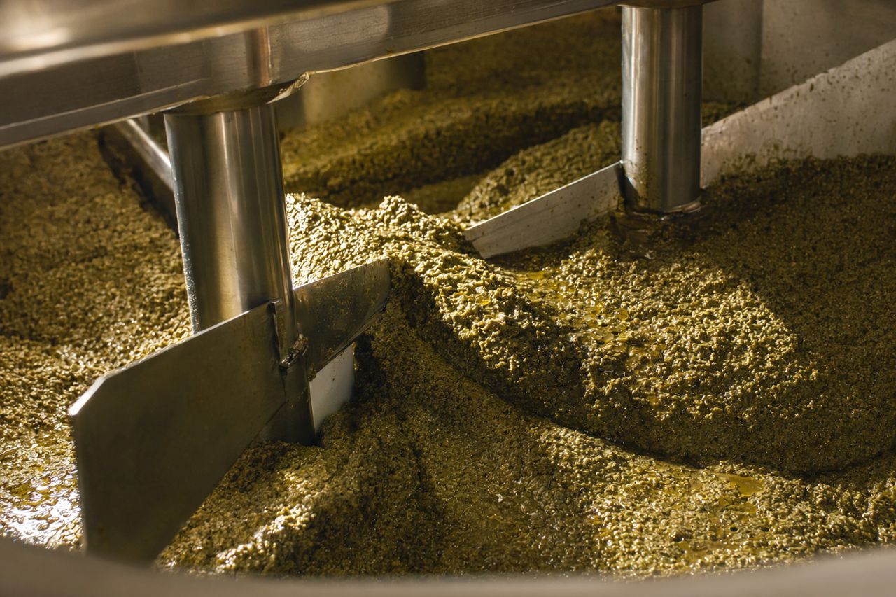 Enzyme for Extra Virgin Olive Oil Processing | Olivanta