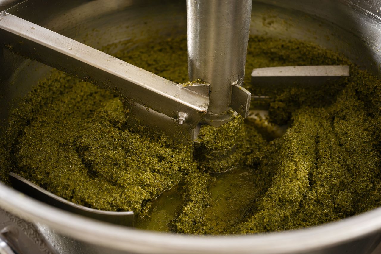Enzyme Supplier for Olive Oil Extraction | Olivanta