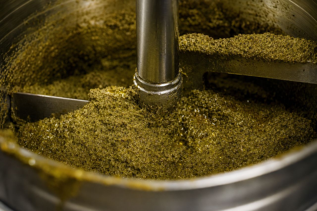 Two-Phase vs Three-Phase Olive Oil Mills | Olivanta