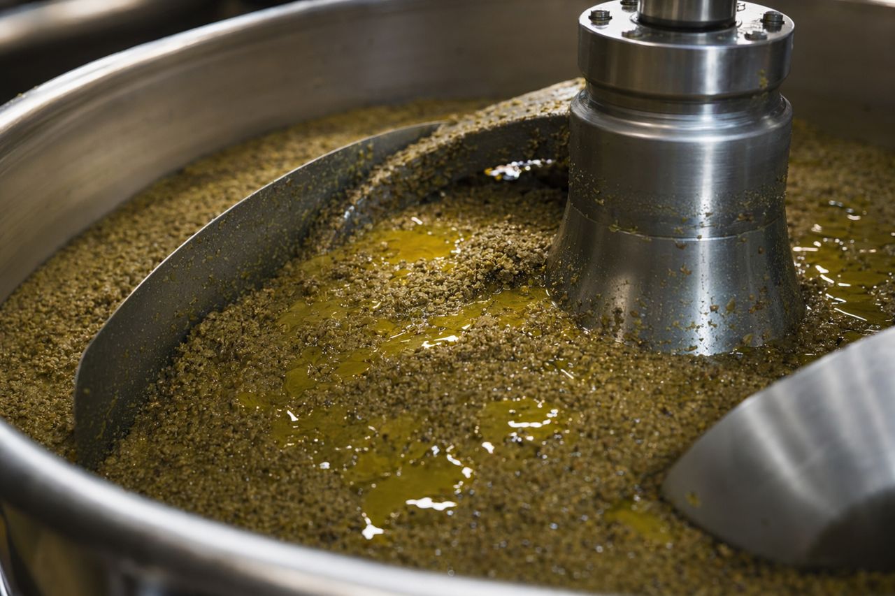 Where Olive Oil Yield Is Lost | Olivanta
