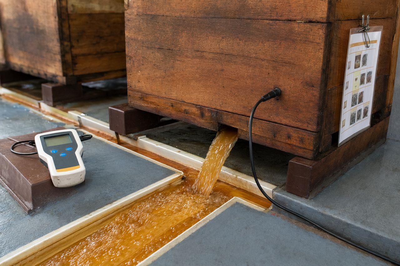 Cocoa Fermentation Data Sheets: Lot Records for Repeatable Batches | Theobrix Works