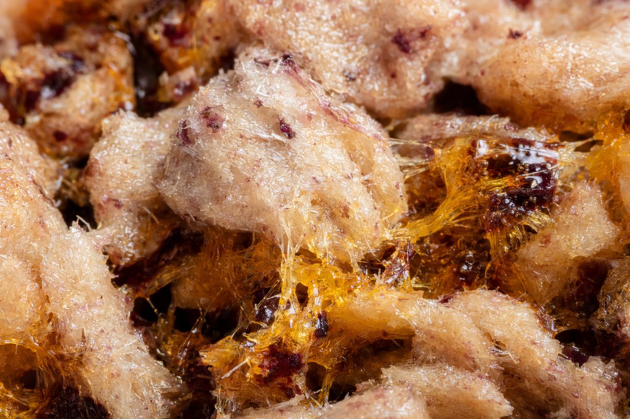 Enzyme for Beet Pulp Pressing & Dewatering | BeetPulse