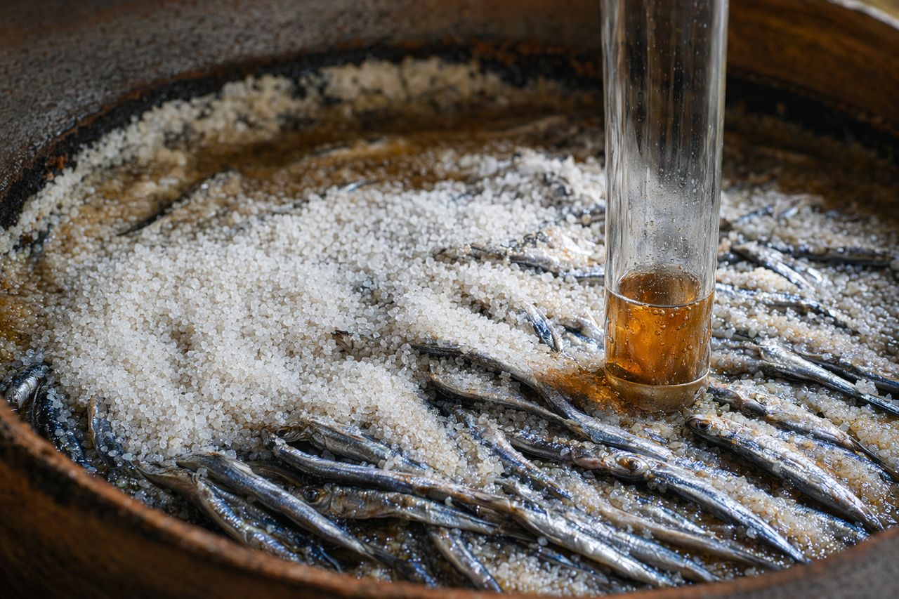 Bulk Enzyme for Fish Sauce Plants | SaltPulse Bioworks