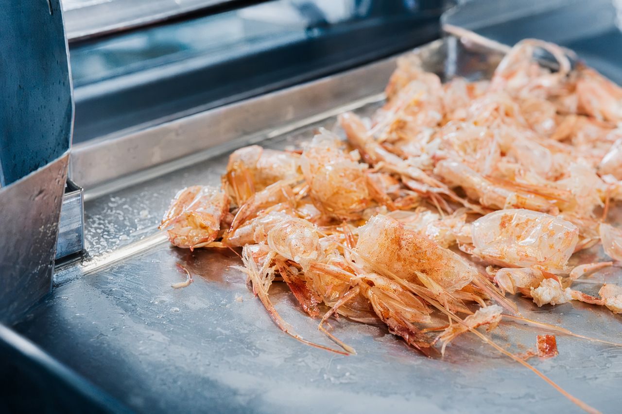 Lipase for Fat and Odor Control in Shrimp Shell Processing