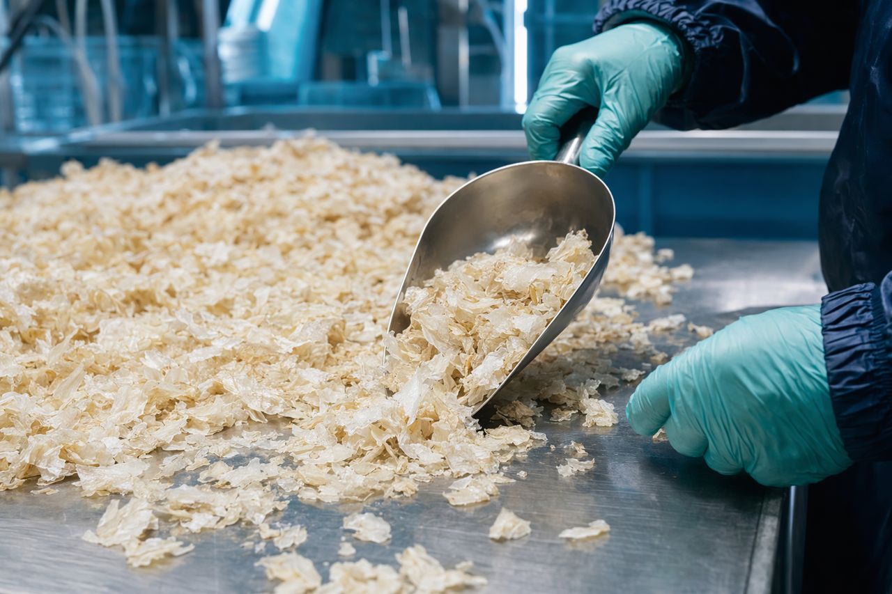 Lipase for Fat and Odor Control in Shrimp Shell Processing