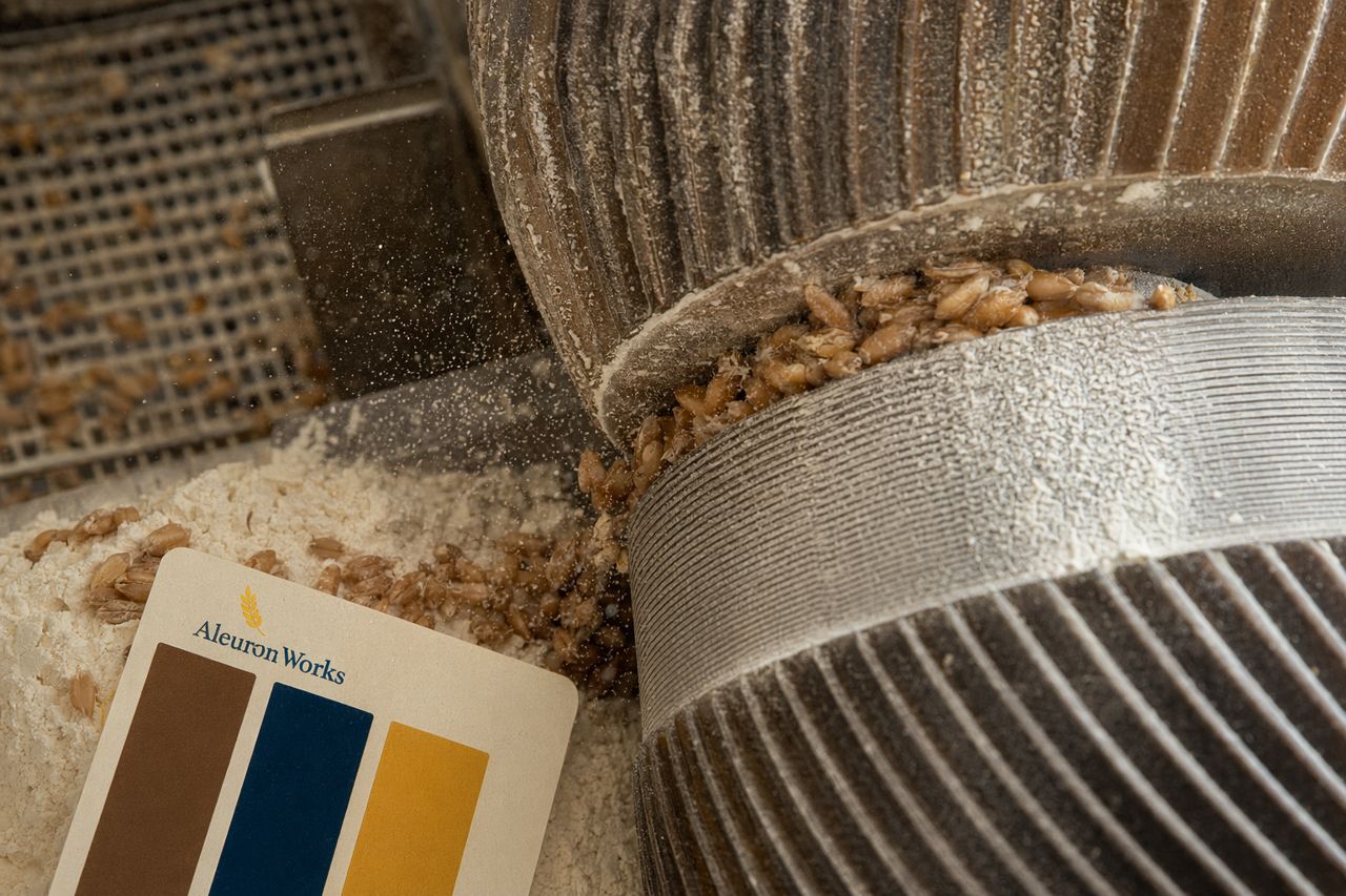Rheology Instruments in Flour Mill QA | Aleuron Works