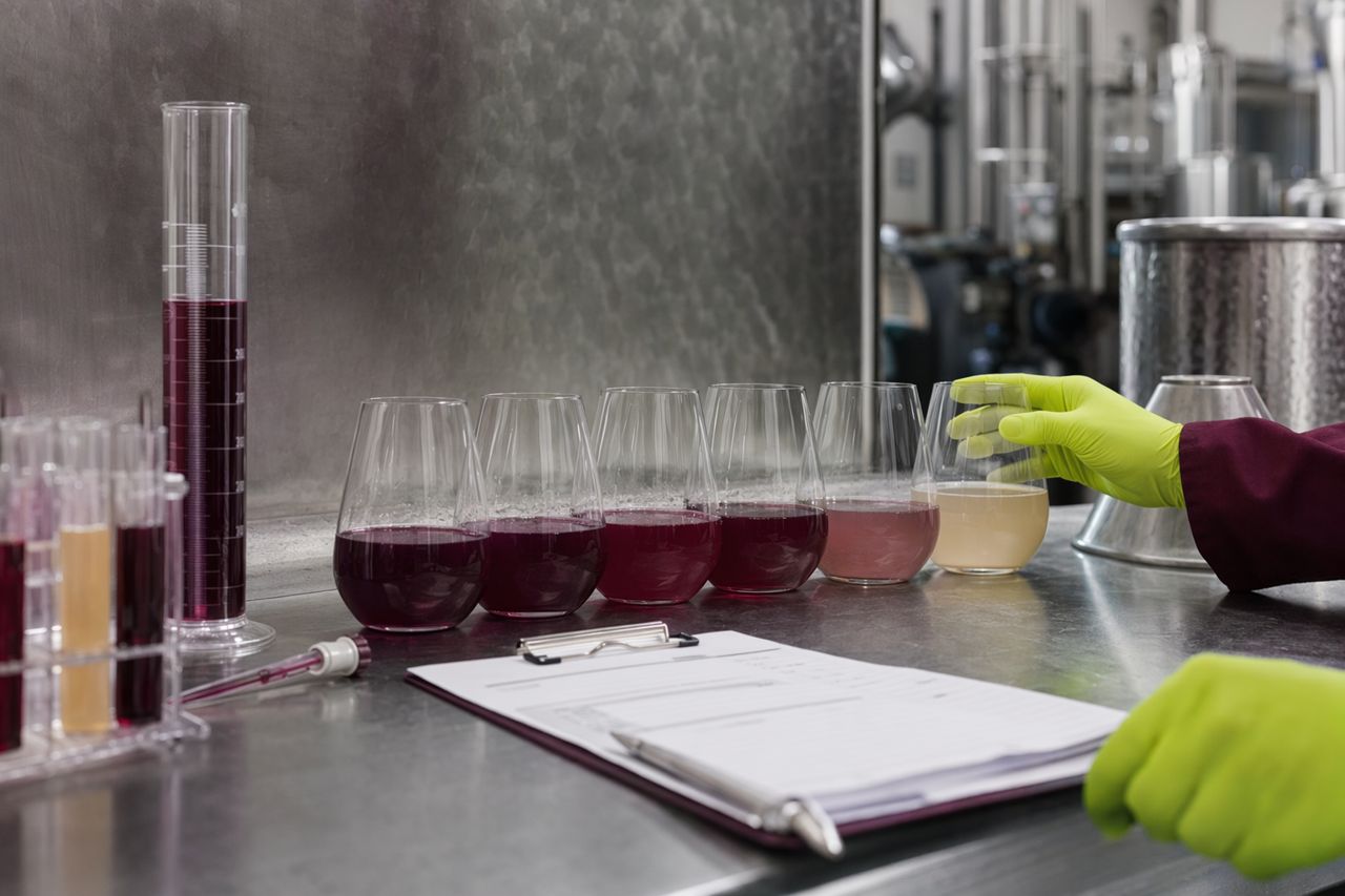 Glucanase for Difficult Wine Filtration | Véraison Current