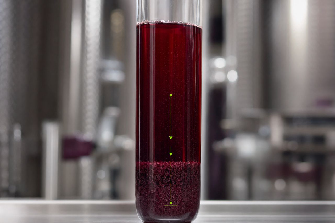 Lees Compaction and Racking Losses in Commercial Wine Cellars | Véraison Current