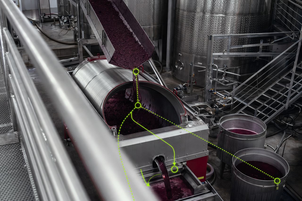 Press Yield vs. Phenolic Harshness in Red Wine Production | Véraison Current