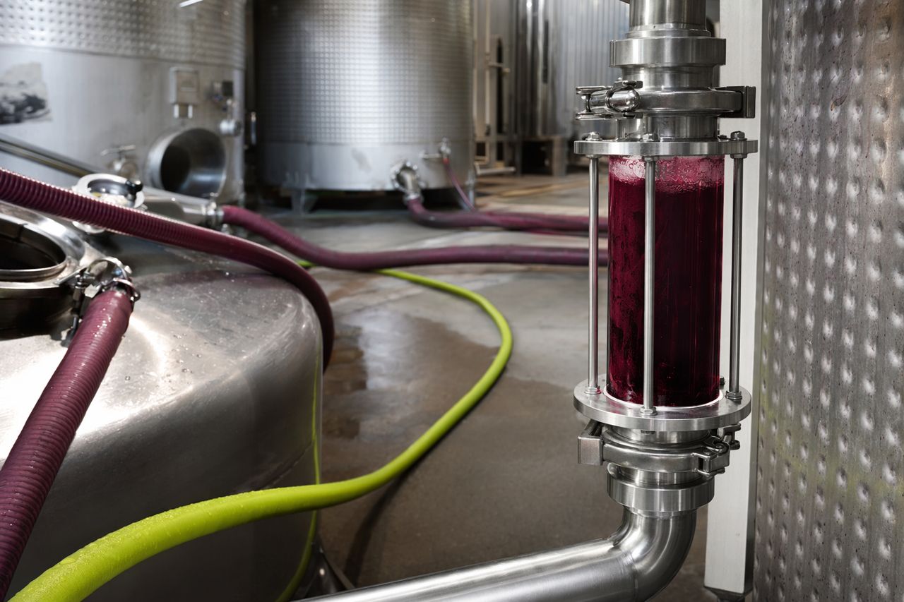 Press Yield vs. Phenolic Harshness in Red Wine Production | Véraison Current