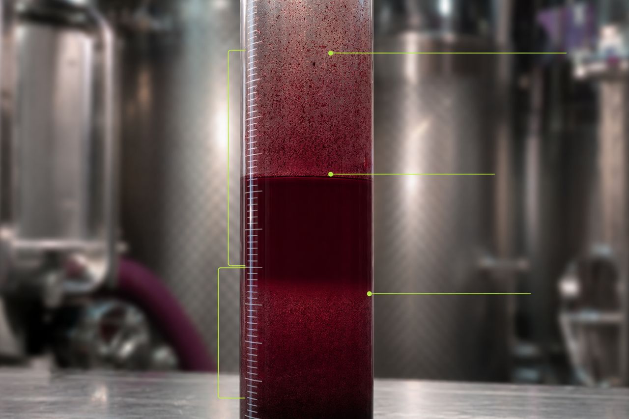 Fornecedor de enzimas para produção de vinho | Véraison Current