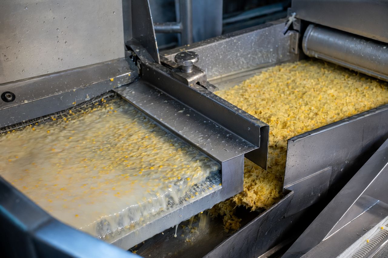Mazerun | Enzyme Supplier for Corn Wet Milling