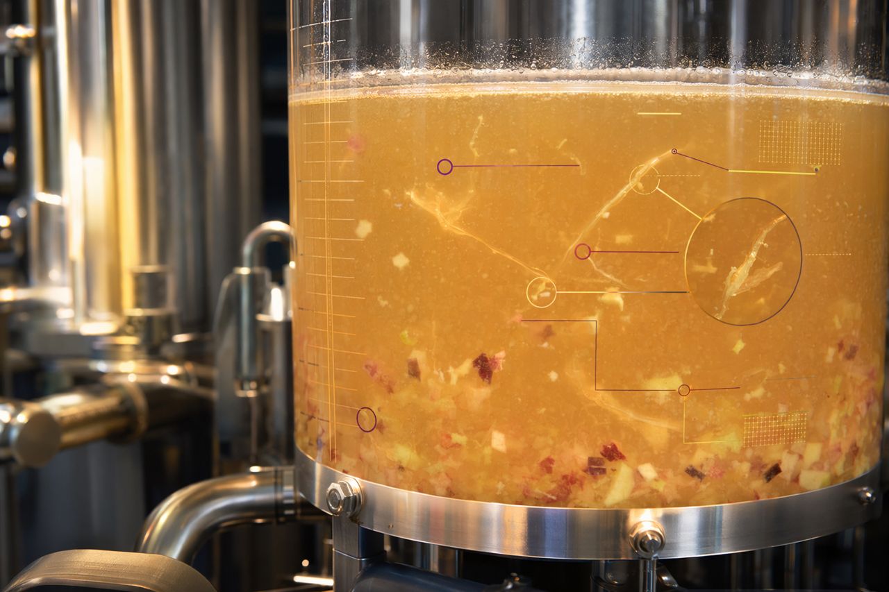 Pectinase for Fruit Juice Clarification | Pellucid Works