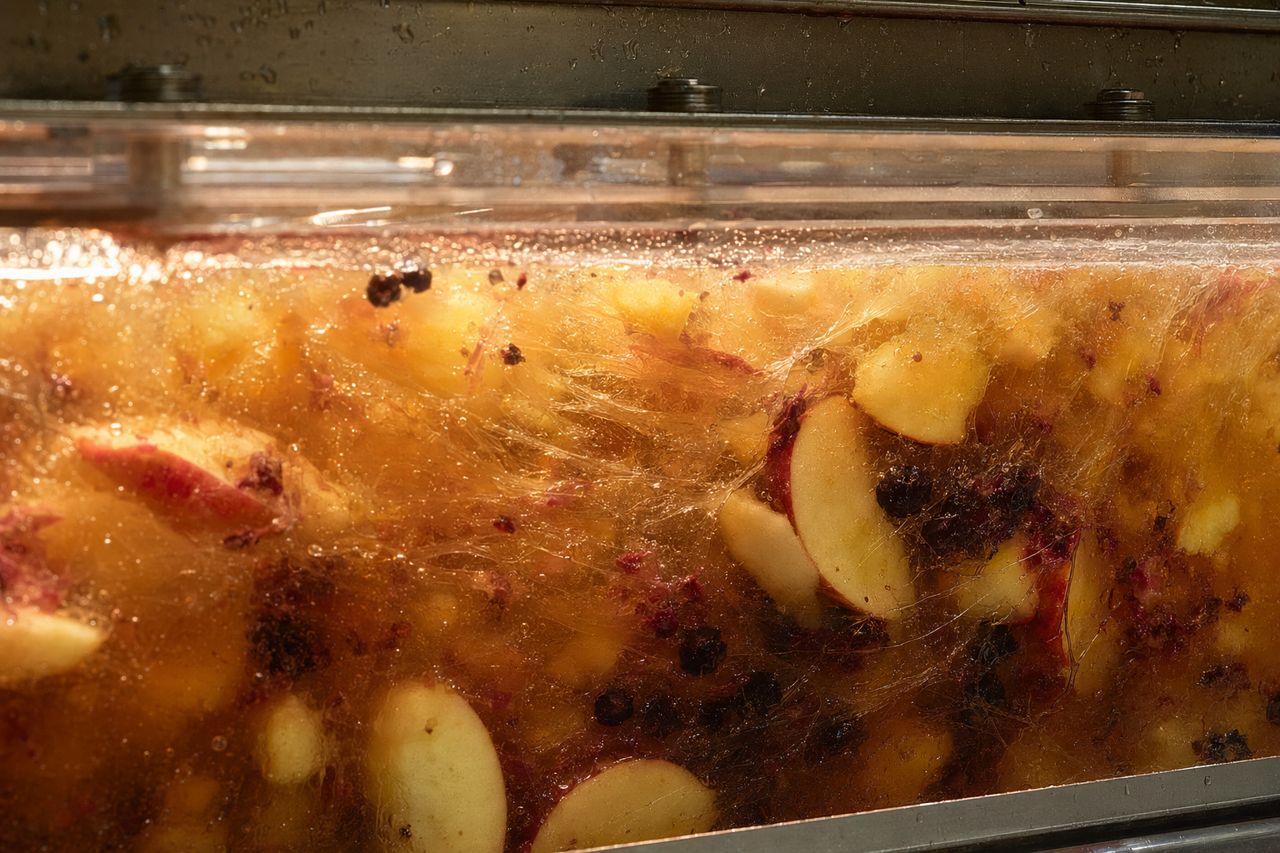 Pectinase for Clarification: Why Juice, Wine, and Plant Beverages Turn Cloudy