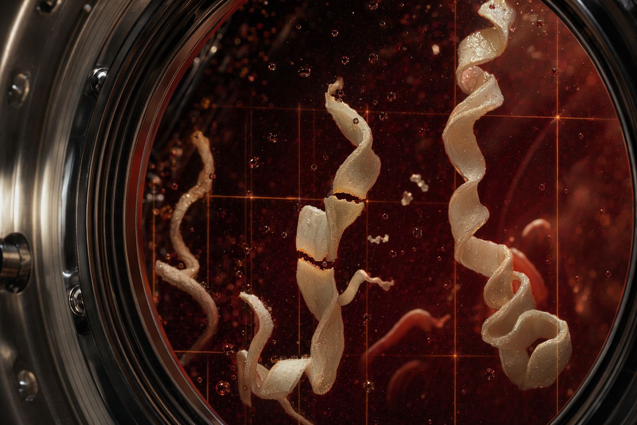 Pepsin for Digestive Enzyme Formulations | Mordant