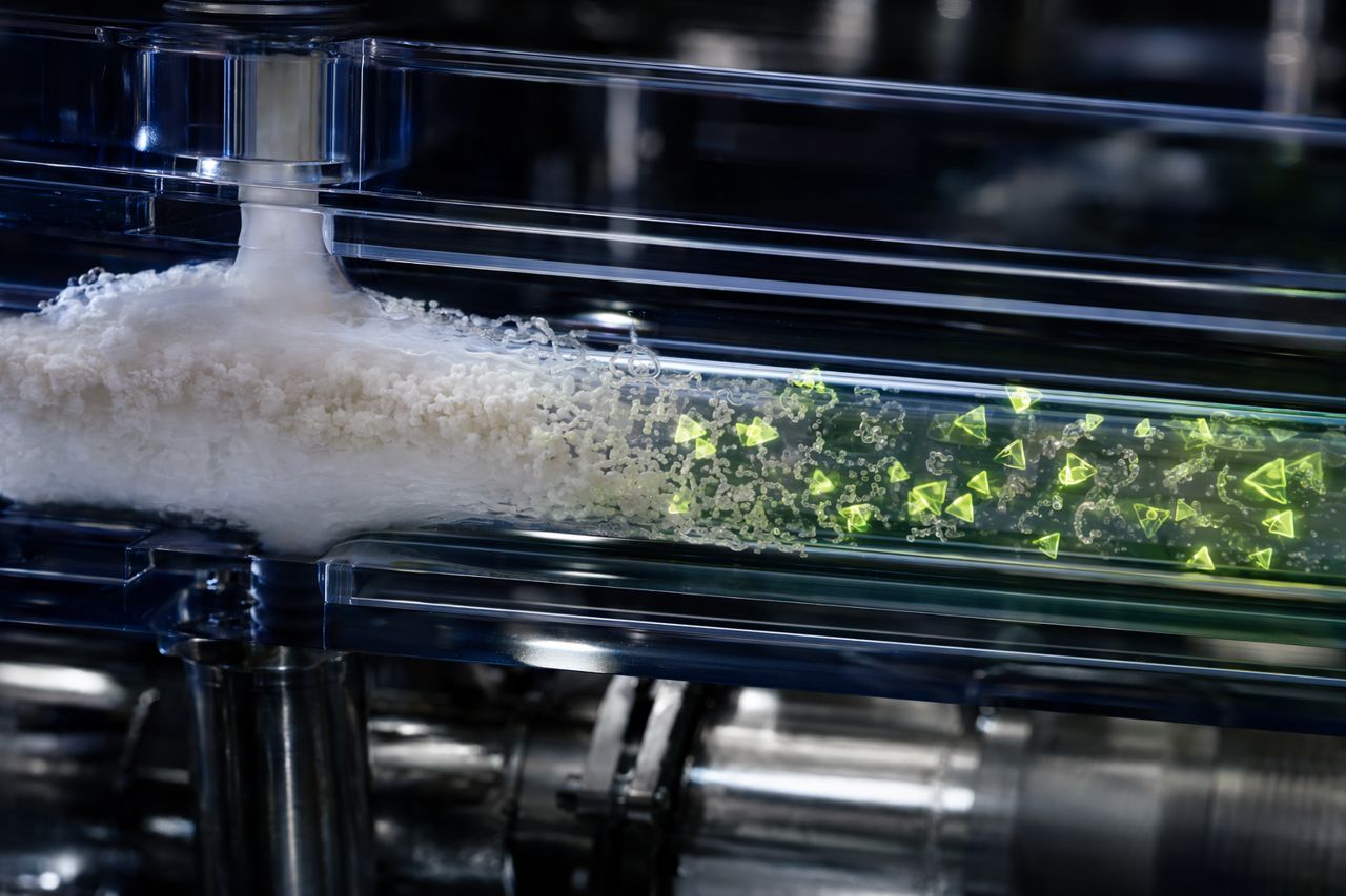 Phosphatase in Dairy and Beverage Process Contexts | Phosveil