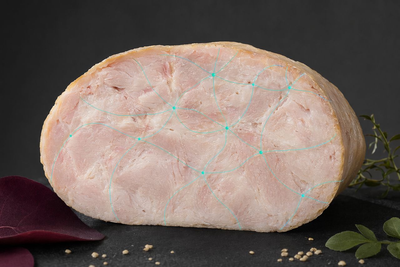 Transglutaminase for Sausage, Ham, and Processed Meat Systems